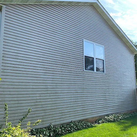 The Dangers of Mold, Mildew, and Algae on Your Home’s Exterior Thumbnail