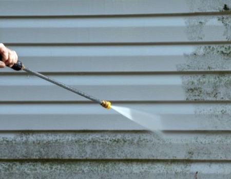 The Dangers of Mold, Mildew, and Algae on Your Home’s Exterior