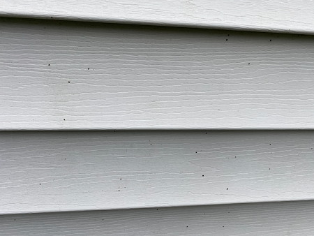 What are these black dots on my siding the homeowners guide to artillery fungus