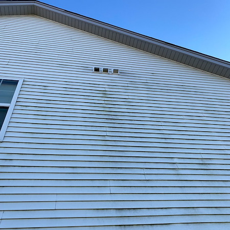 What Are These Black Dots on My Siding? The Homeowner's Guide to Artillery Fungus