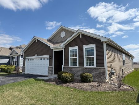 Why Green Algae Shows Up on Siding Faster Than Homeowners Expect in Northern Illinois