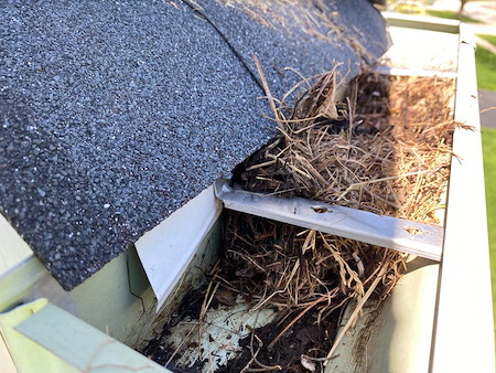 Gutter Cleaning Thumbnail