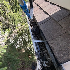 Gutter cleaning service