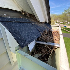 Gutter cleaning service