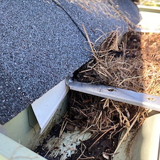 Gutter cleaning service