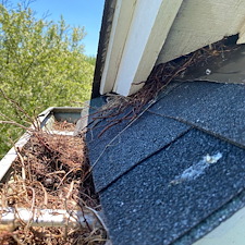 Gutter cleaning service