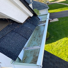 Gutter cleaning service