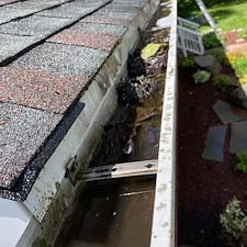 Gutter cleaning service