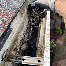 Gutter cleaning service