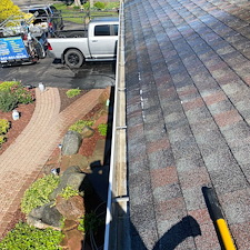 Gutter cleaning service