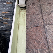 Gutter cleaning service
