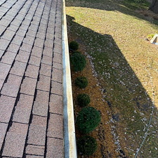 Gutter cleaning service